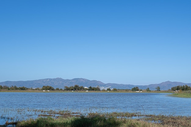 Aiguamolls de Emporda are marshes with endangered species in Girona Catalonia Spain