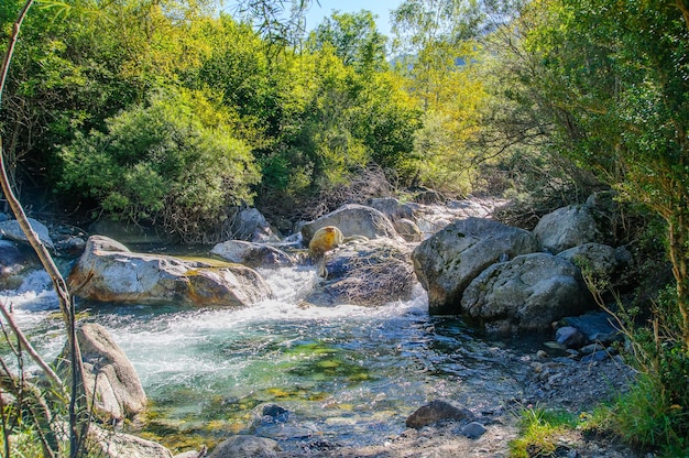 Aiguestortes national park