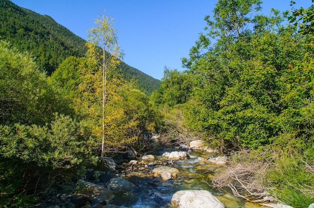 Aiguestortes national park