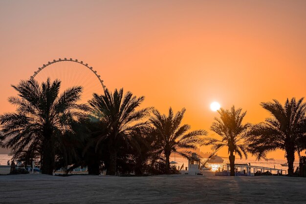 Ain dubai the biggest ferris wheel in the world