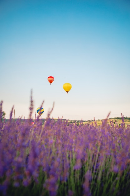 Air balloon with basket above lavender field copy space