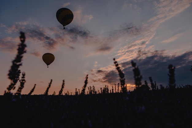 Mongolfiera con cesto sopra il campo di lavanda