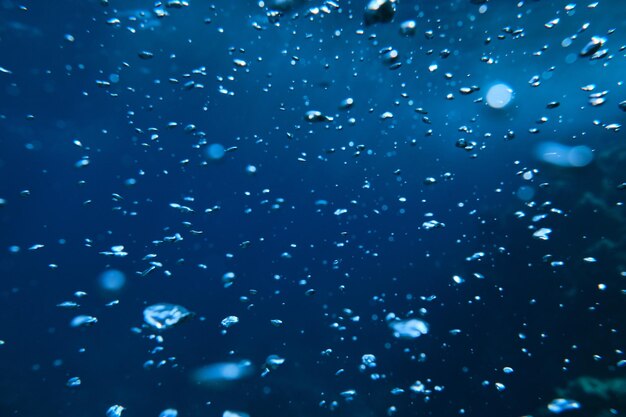 Air bubbles rising towards sea surface