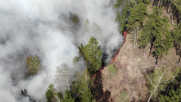 Inquinamento atmosferico causato da incendi, nuvole di fumo sopra il campo in fiamme, riprese aeree. epico disastro naturale, incendio boschivo nell'estate 2019.