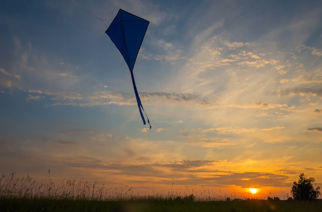 An air snake flies against the sunset sky. 