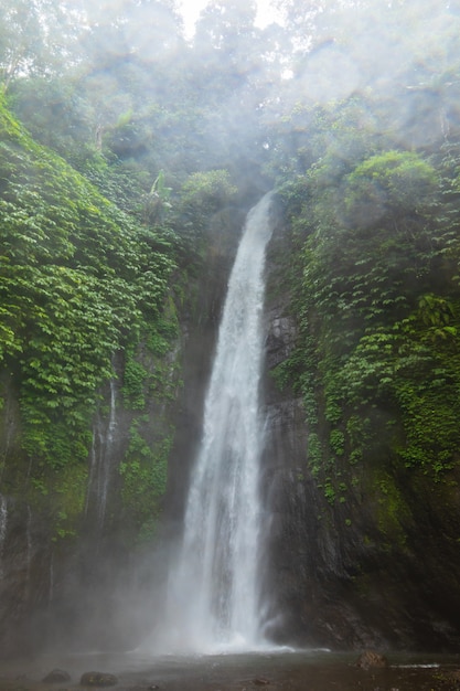 공기 Terjun Munduk 폭포. 발리 섬, 인도네시아.