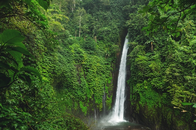 エアテルジュンムンドゥックの滝。バリ島、インドネシア。