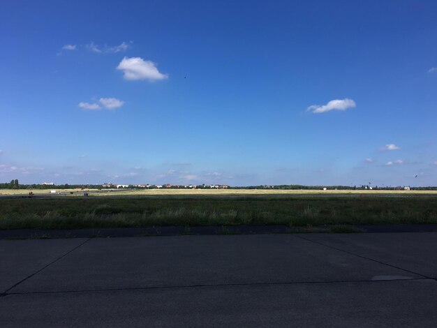 Airplane on field against sky