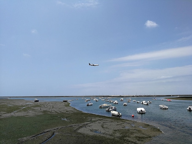 Foto aereo che vola sopra il mare contro il cielo