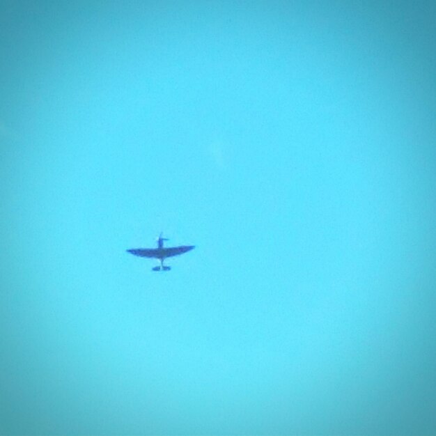 Airplane flying over the sea