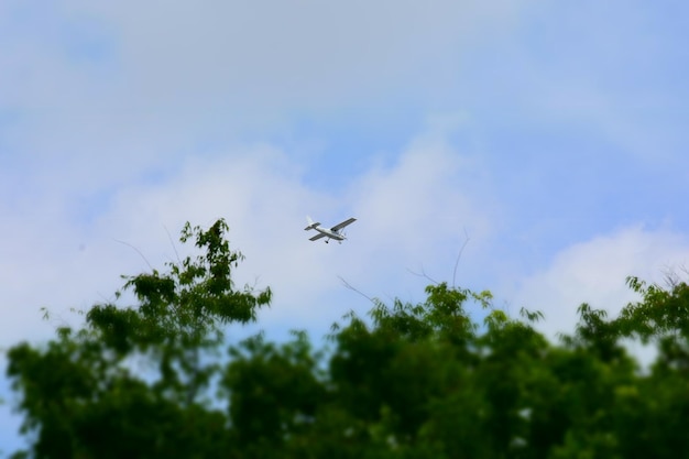 空に向かって木の上を飛ぶ飛行機