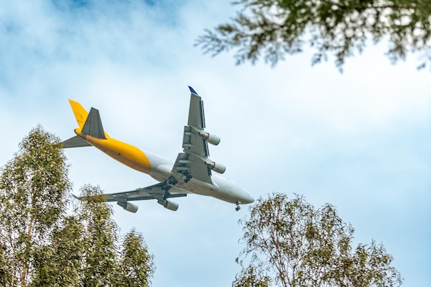 The airplane lands above the treetops