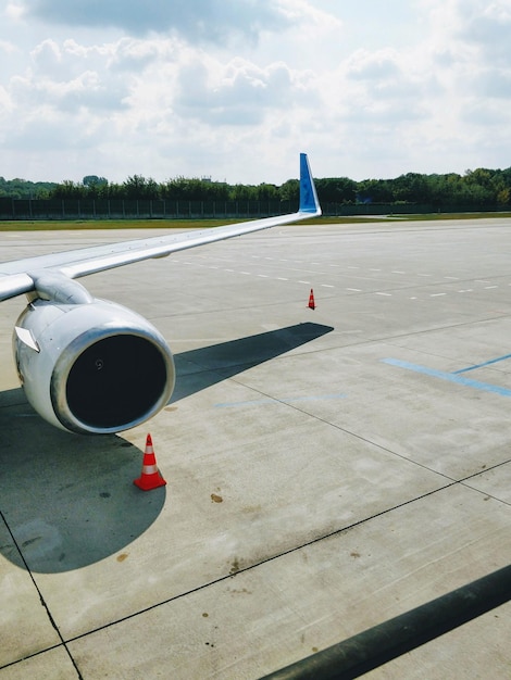 空を背景に木の上に飛行機