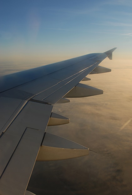 飛行中の飛行機の翼