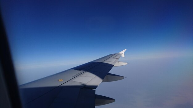 Airplane wing seen through window