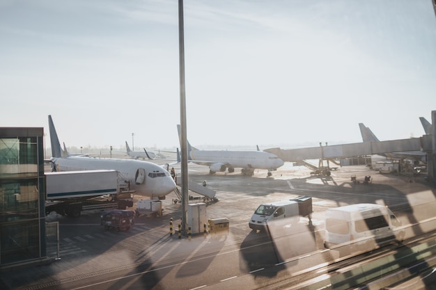 Airport take-off field. View from the window. There are many aircraft and service equipment.