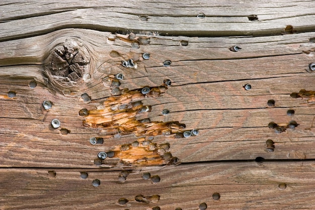 Airsoft gun bullet marks on weathered wooden wall