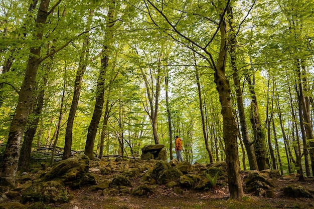 Aitzetako Txabala Dolmen onder sommige bomen in het Baskenland Errenteria Gipuzkoa