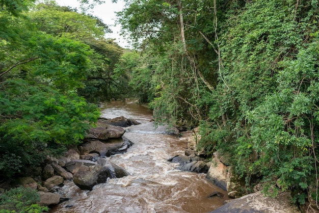 Aiuruoca 강 Minas Gerais 브라질 열대 우림