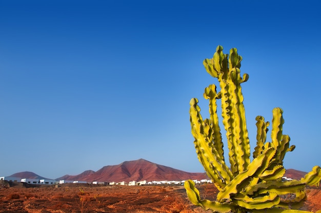 Photo ajaches mountain in playa blanca lanzarote