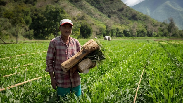 Akha farmers