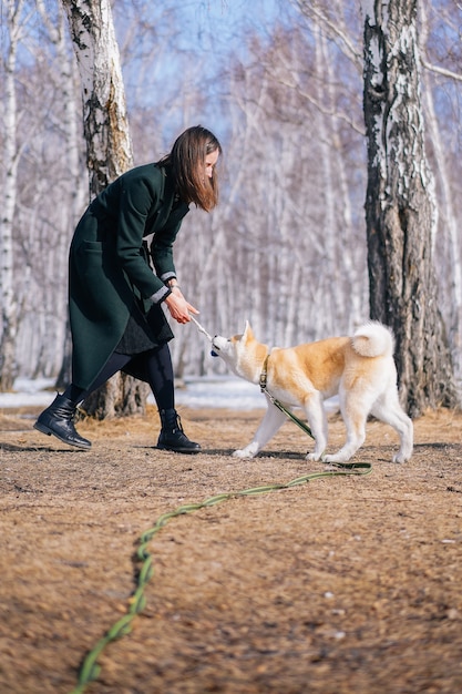 녹색 가죽 끈이 달린 아키타 견 개는 짙은 녹색 코트를 입은 여자와 밧줄 장난감을 가지고 노는다