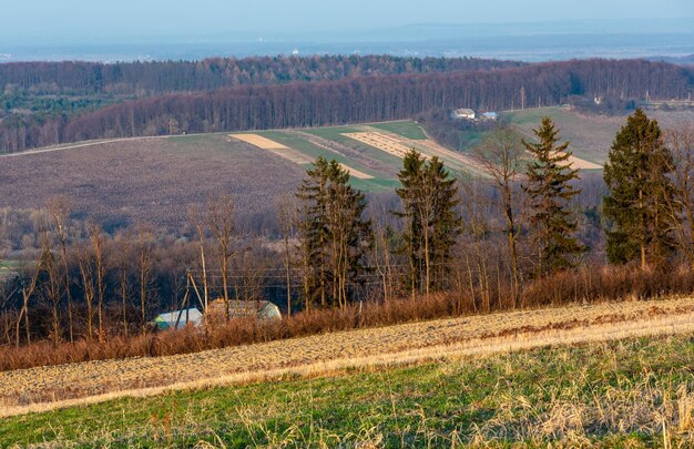 Akkerbouw- en groeivelden en platteland in de lente