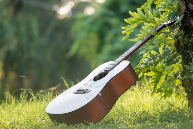 Akoestische gitaar buiten op groen achtergrond concept van rustige muziek