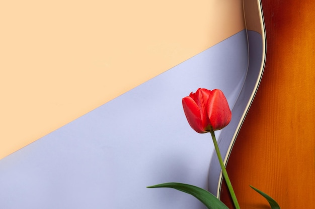 Akoestische gitaar en rode tulp op koraalpastelkleur en zeer peri duotone achtergrond