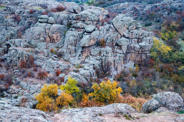 Aktovsky Canyon, Oekraïne. Herfstbomen en grote stenen rotsblokken rondom