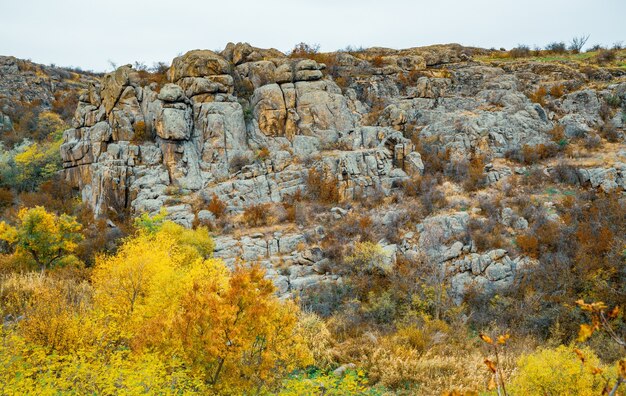 Aktovsky Canyon, Oekraïne. Herfstbomen en grote stenen rotsblokken rondom