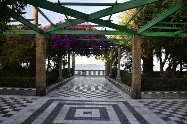 Alameda de apodaca un parco pubblico e un esempio dello stile eclettico del regionalismo a cadice con alberi di ficus giganti e una panchina decorata con piastrelle di ceramica di siviglia andalusia spagna