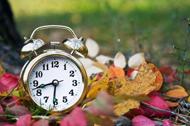 Alarm clock at autumn