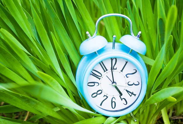 Alarm clock, blue clock on background of green grass