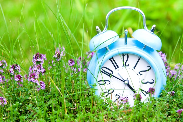 Alarm clock, blue clock in green grass and thyme