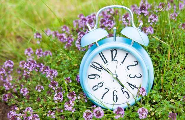 Alarm clock, blue clock in green grass and thyme