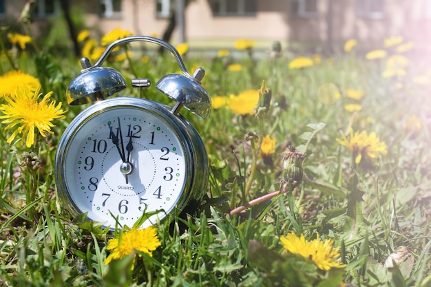 Alarm clock among grass and flowers closeup