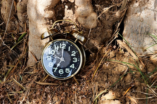 木の近くの土の上で7時を示す目覚まし時計