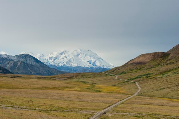 Alaska Denali Park Mount Mc Kinley panorama
