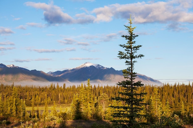 Alaskan landscapes