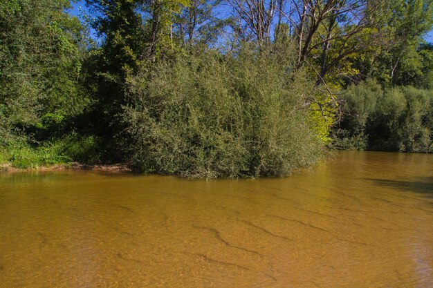 alberche riverbank in Toledo, Castilla La Mancha, Spain