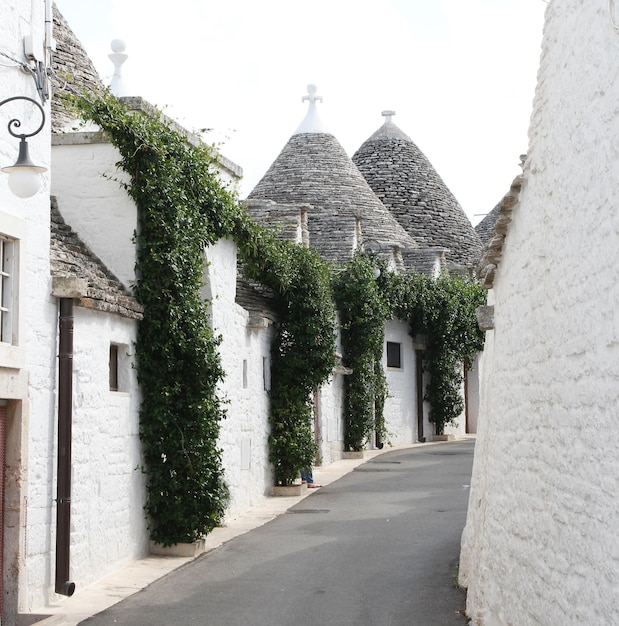 Alberobello Puglia 지역 이탈리아 남부 Trulli di Alberobello 이 지역의 Trulli 오리지널 및 오래된 가옥의 전통적인 지붕 유네스코 문화 유산