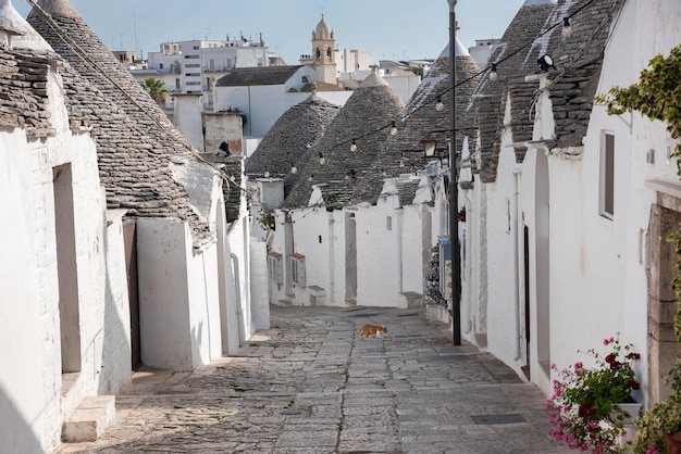 Alberobello town in Italy famous for its hictoric trullo houses