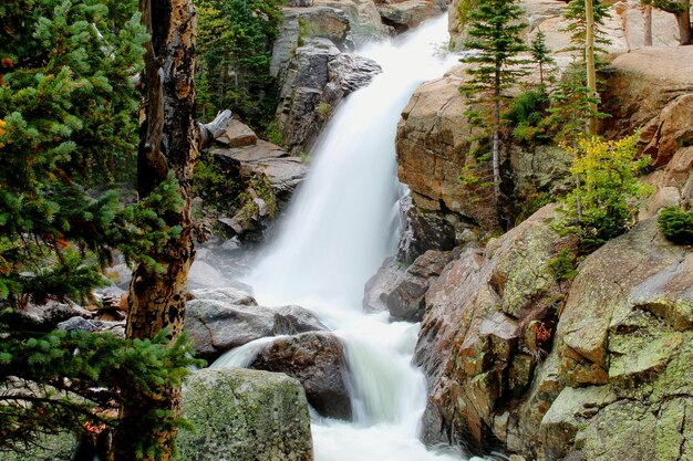 Alberta falls at rocky mountain national park