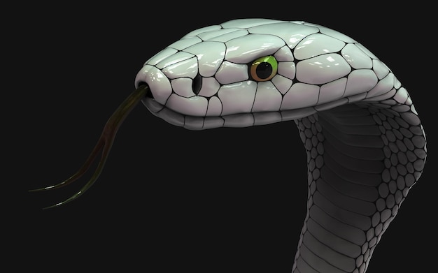 Serpente cobra re albino isolato su sfondo nero serpente cobra bianco con percorso di ritaglio