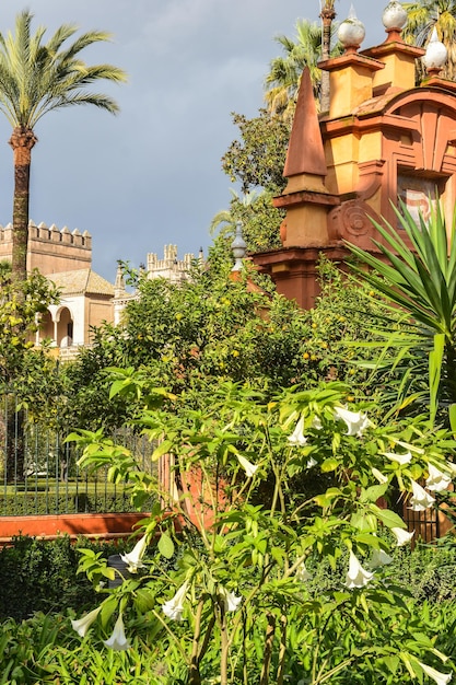 The Alcazar of Seville