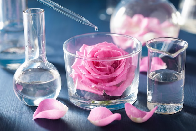 バラの花と化学フラスコによる錬金術とアロマセラピー