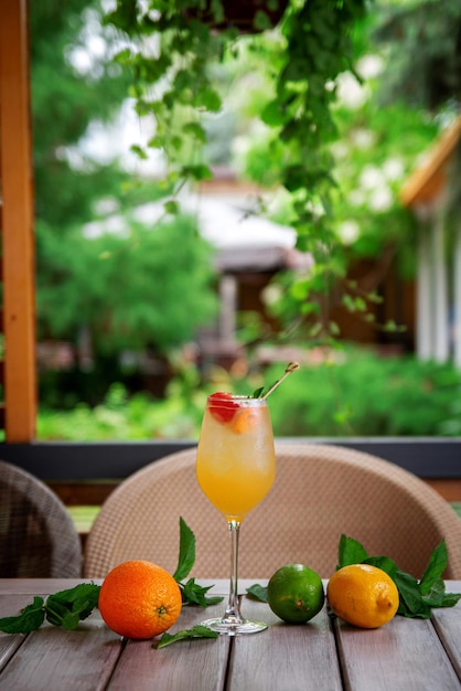 Alcoholic cocktail Grapefruit gin tonic with fresh mint beach refreshment cocktail at the bar