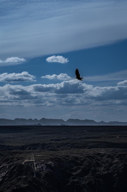 Фото Алкон летит сквозь облака и горы на заднем плане