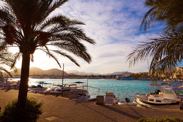 Foto alcudia majorca bij zonsondergang op jachthavenhaven mallorca